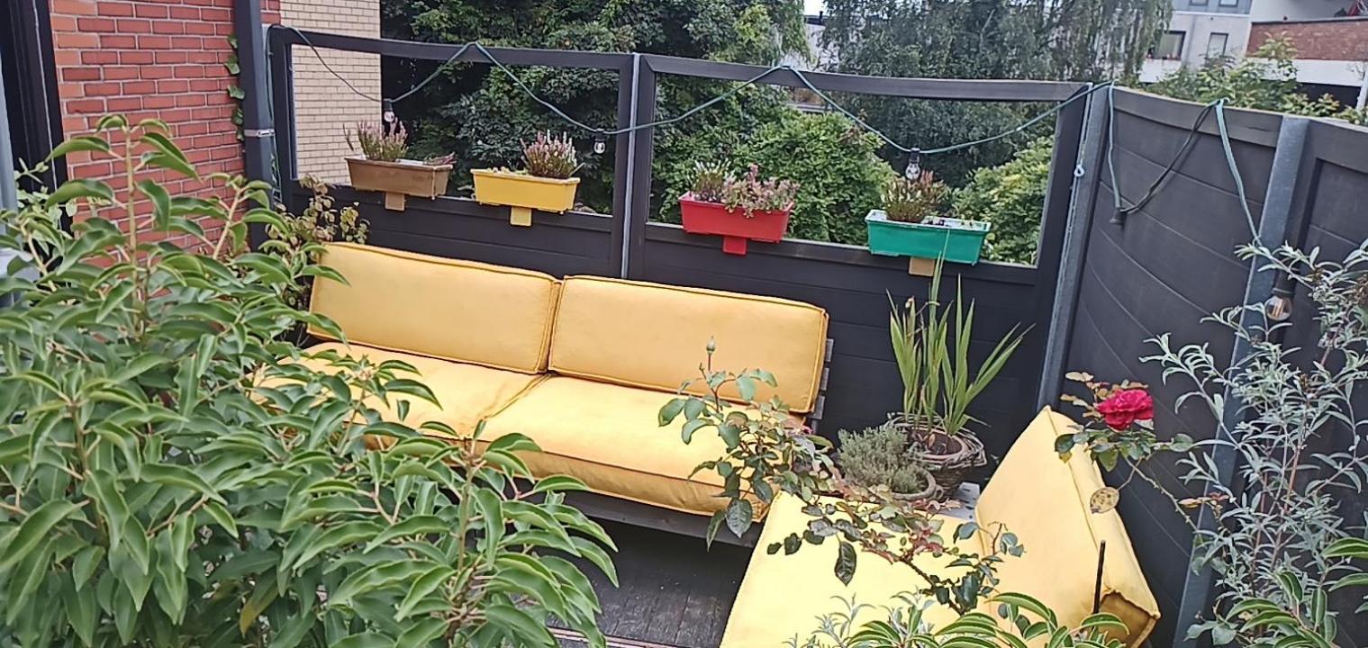 אנטוורפן Lodgerivierenhof מראה חיצוני תמונה