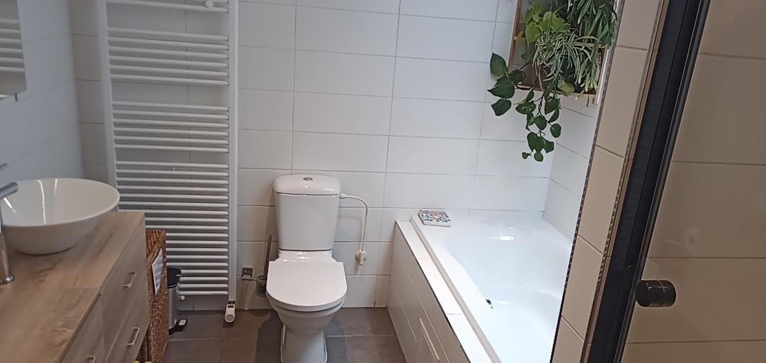 אנטוורפן Lodgerivierenhof מראה חיצוני תמונה